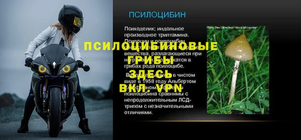 прущий лед Переславль-Залесский