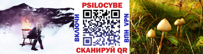 Псилоцибиновые грибы Psilocybe  купить наркотик  Горячеводский 